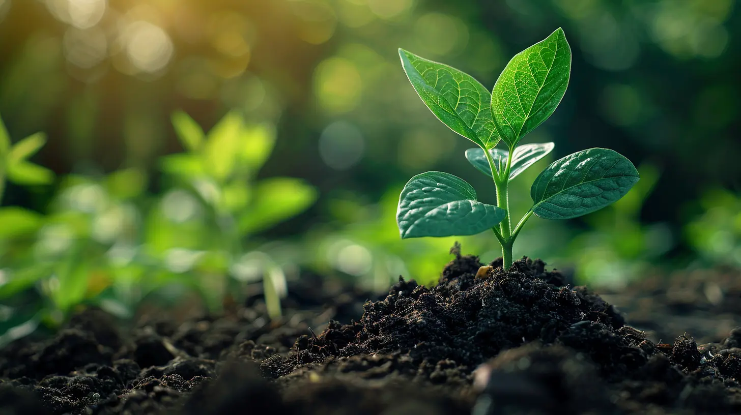 Crafting a Dividend Investing Plan That Grows with You