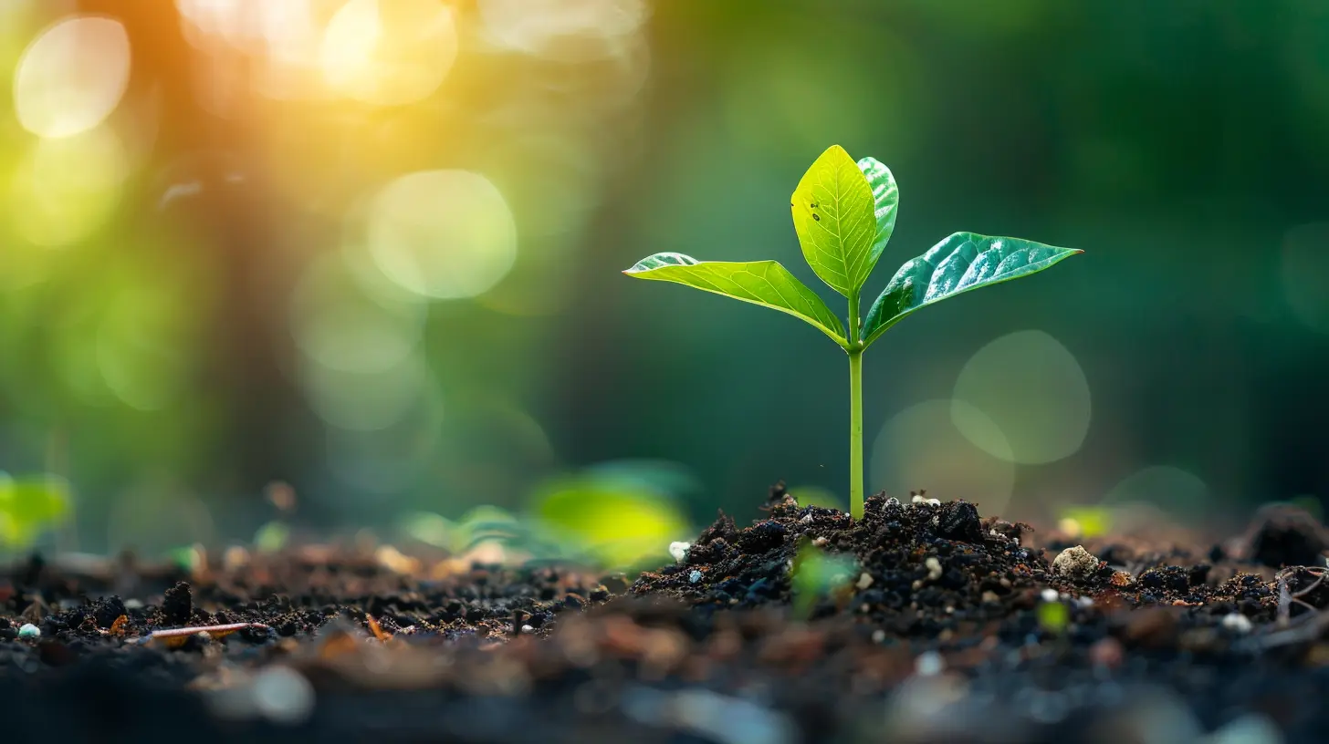 Developing an Investment Strategy Focused on Passive Income