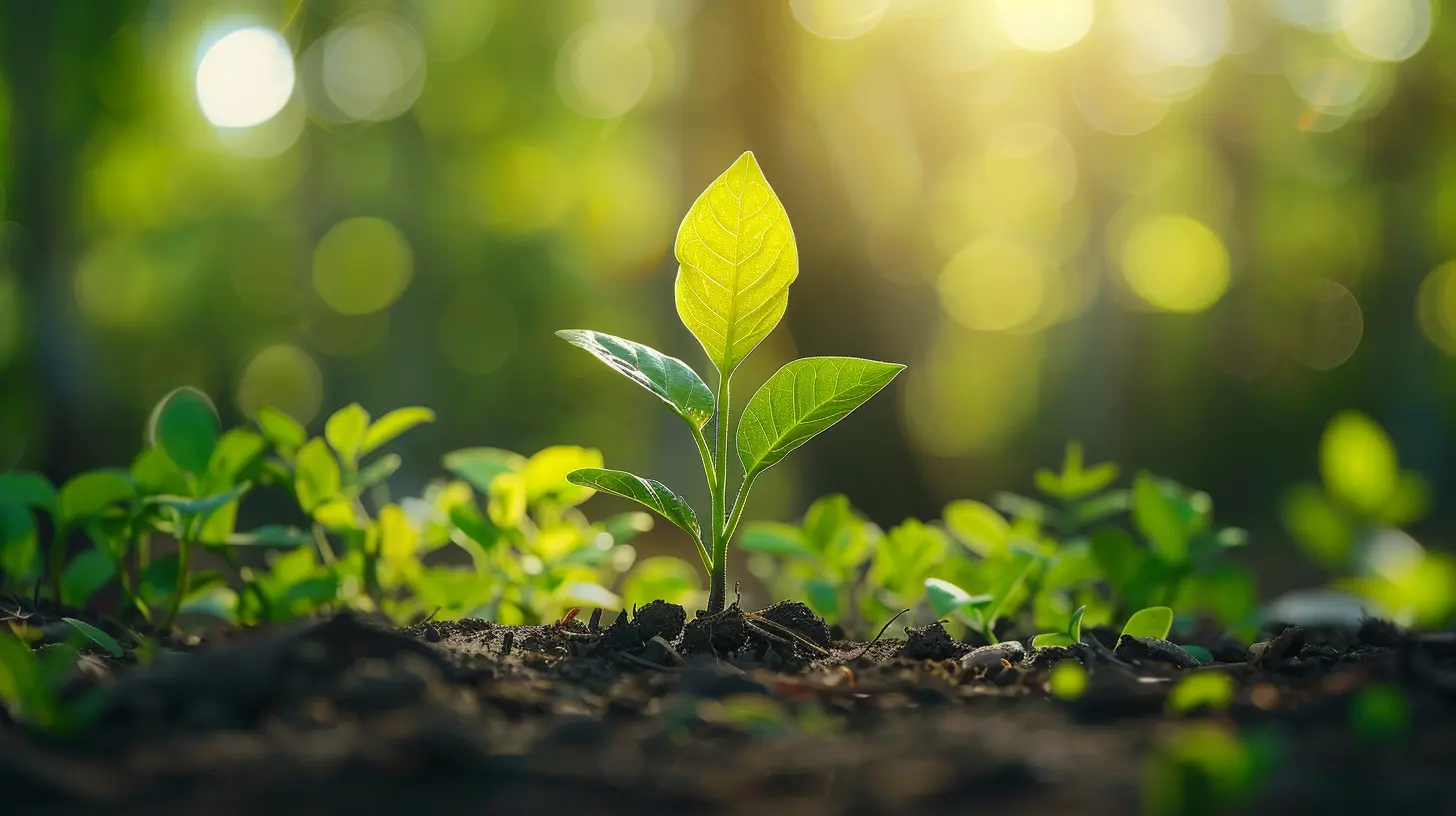 Dividend-Paying ETFs That Could Boost Your Investment Returns