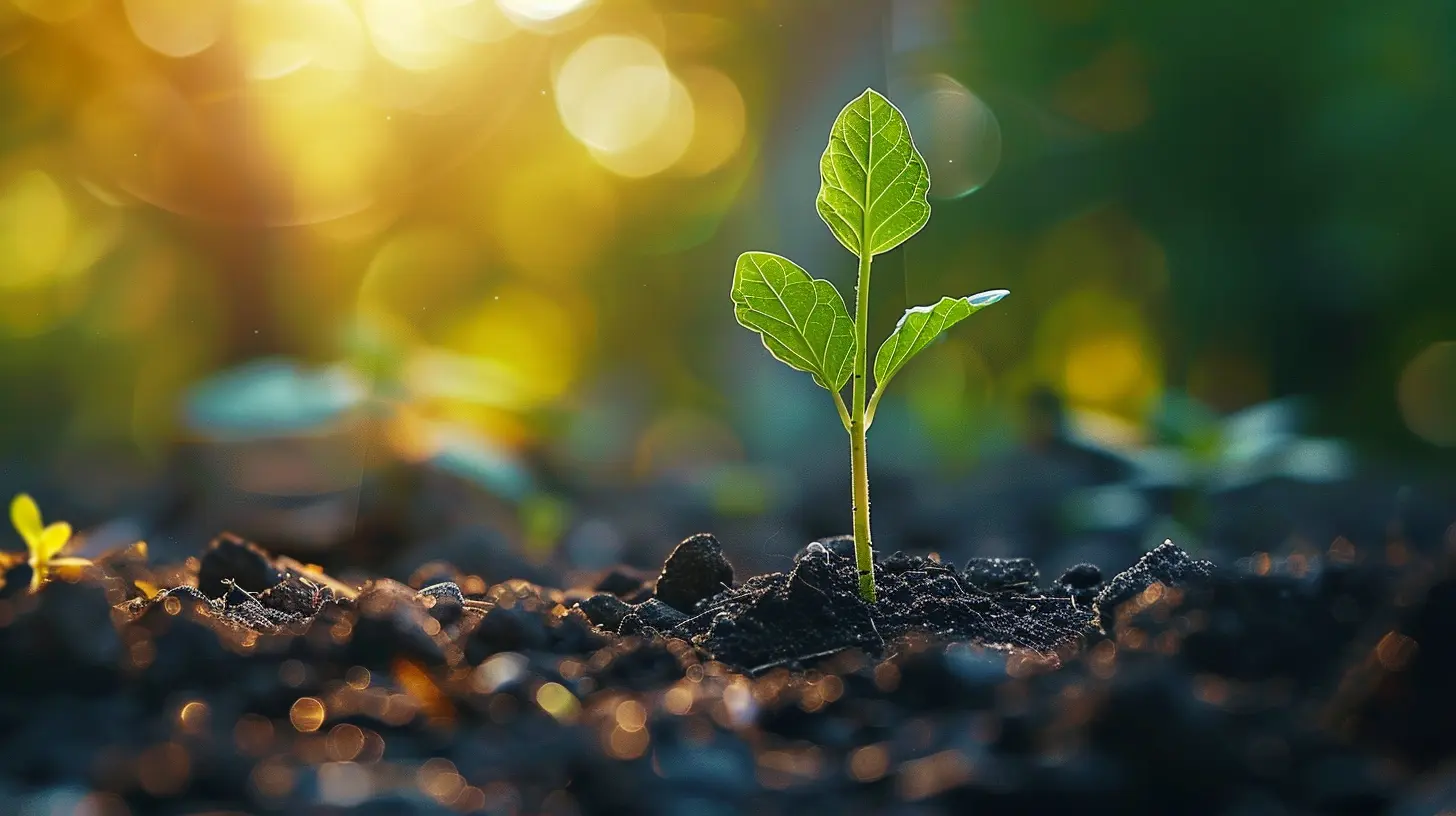 How to Make Your Investments Work for You with Minimal Effort