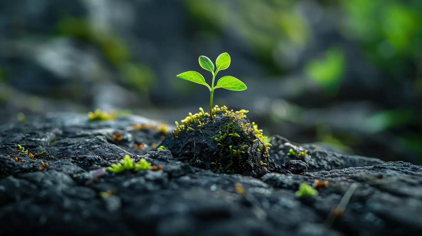 Quick Guide to Growing Your Emergency Fund Faster