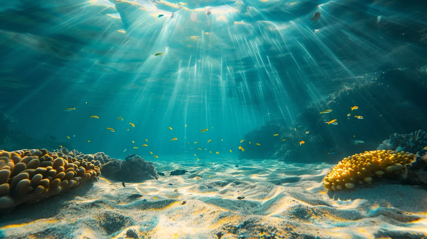 Understanding Offshore Banking Fees: What to Expect