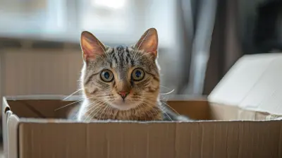 Can Downsizing Really Help Reduce Your Cost of Living?