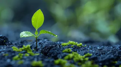 Creating Financial Goals that Align with Your Personal Values