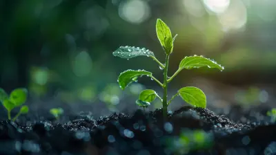 How Positive Cash Flow Drives Business Growth