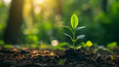 How to Make Your Investments Work for You with Minimal Effort
