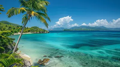 Offshore Accounts for Expats: Key Considerations and Benefits