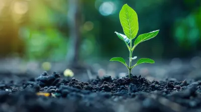 Passive Income For Beginners Getting Started With Your First Investment