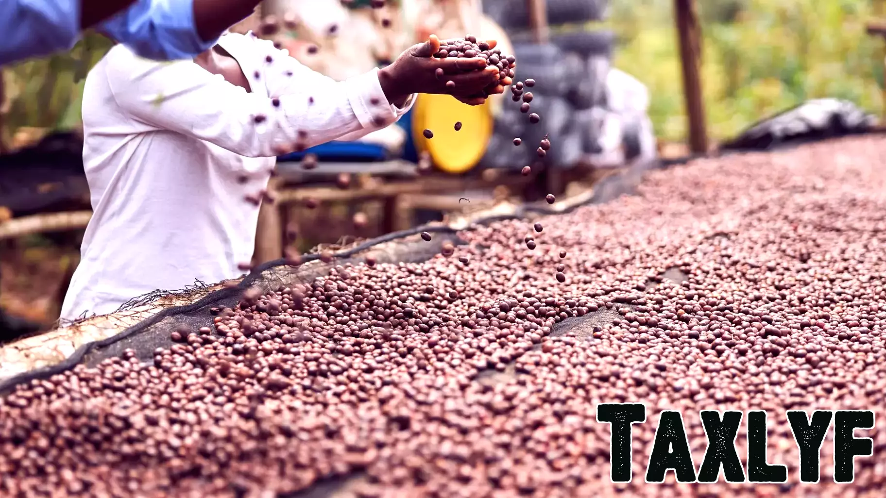 2025 Global Innovation Lab for Climate Finance Impact Report