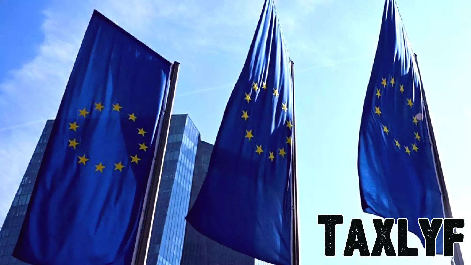 European banks can withstand current shocks, watchdog head says