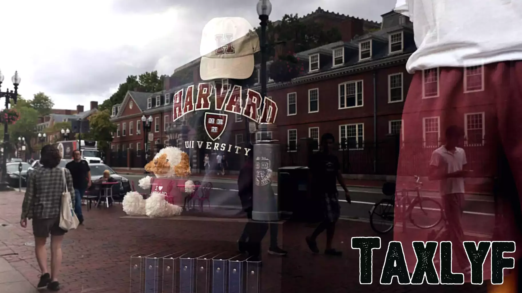 Harvard's T.H. Chan School of Public Health Faces Financial Challenges Amid Funding Cuts