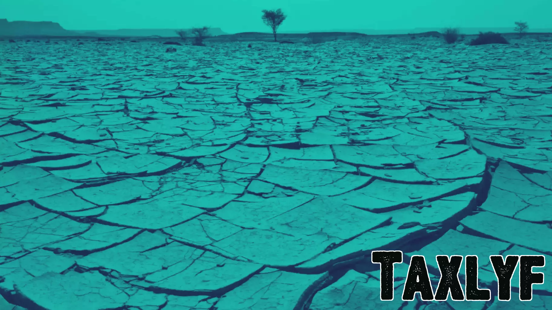 Understanding the Role of Remittances in the Climate Finance Crisis