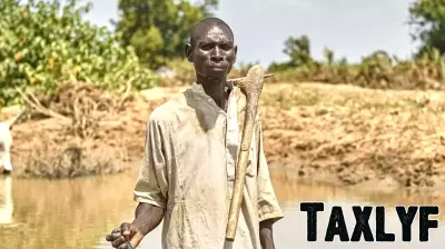 Africa Faces Significant Funding Shortfall for Agricultural Climate Adaptation