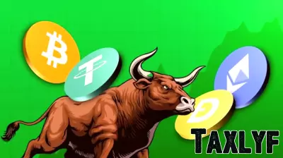 An Optimistic Outlook on Webull Corporation