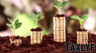 Blended Finance: A Transformative Yet Underutilized Resource
