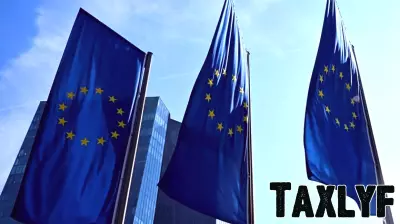 European banks can withstand current shocks, watchdog head says