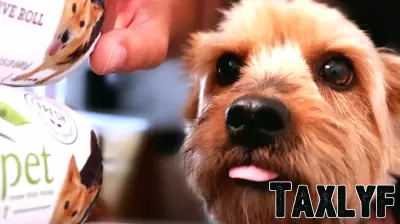 Freshpet (FRPT) Valuation Check After Mixed Share Returns And Premium P/E Multiple