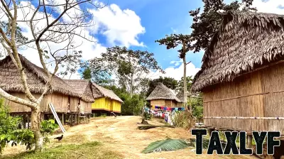 Investigation Uncovers Misleading Forest Finance Schemes Affecting Indigenous Communities