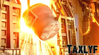 Is It Too Late To Consider ArcelorMittal (ENXTAM:MT) After A 93% One Year Rally