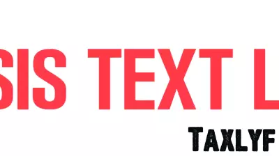 Navigating Holiday Challenges: Expert Tips for Managing Stress and Loneliness