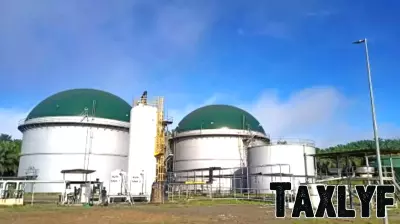 Top 3 Small-Cap Stocks Big Money Is Buying in April 2026