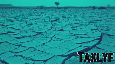 Understanding the Role of Remittances in the Climate Finance Crisis
